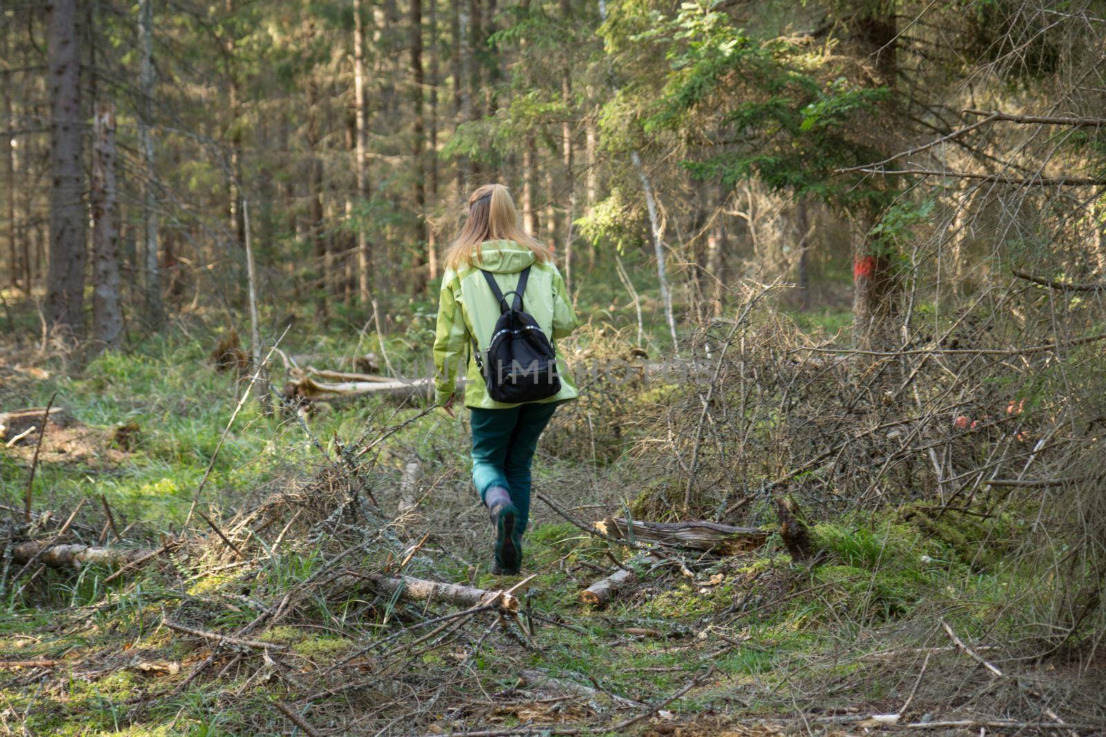 Woman play Geocaching. Walk in deep forest.