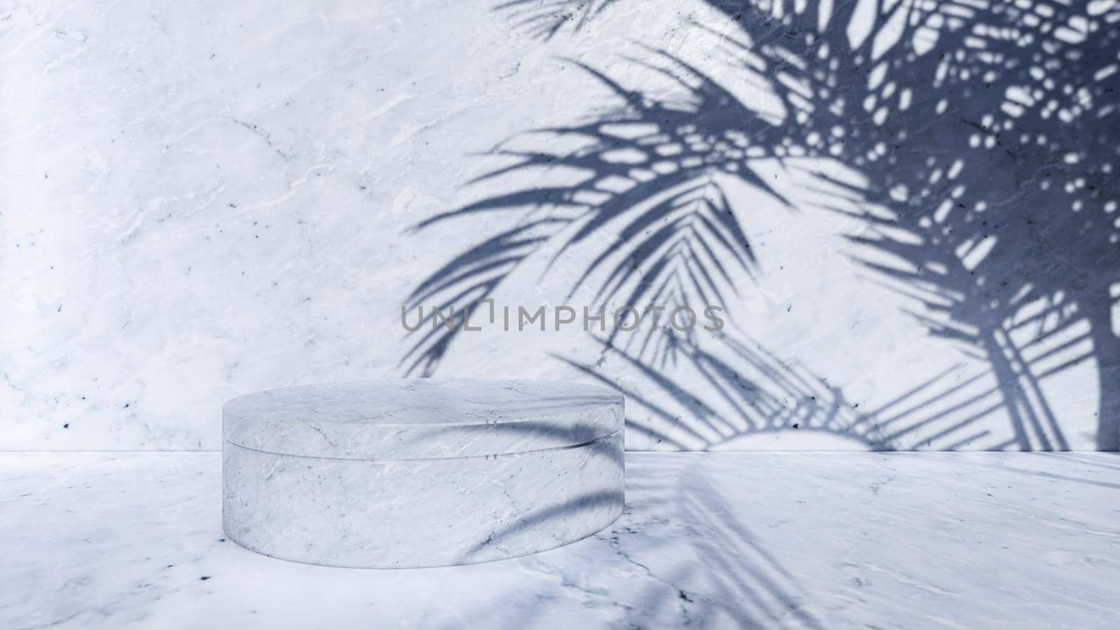 A 3d rendering image of white marble product display on white marble floor and wall. Palm leaves shadow on the wall.