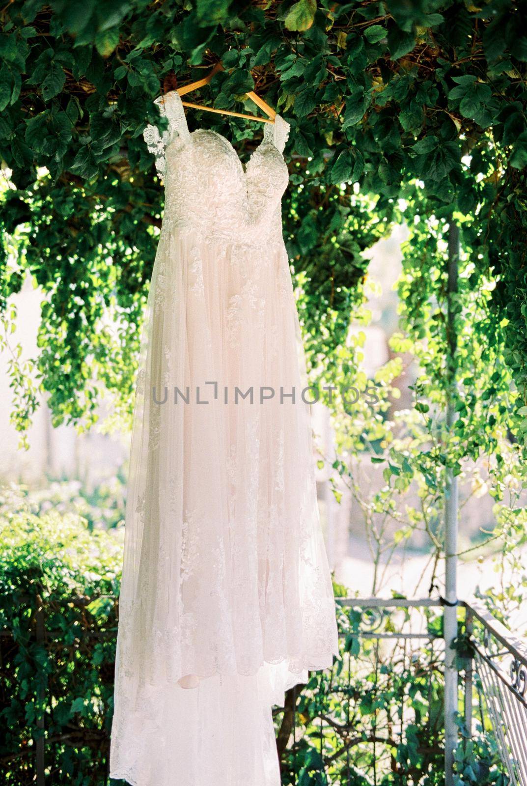 White wedding dress hangs on a wooden hanger on a tree among green foliage. High quality photo