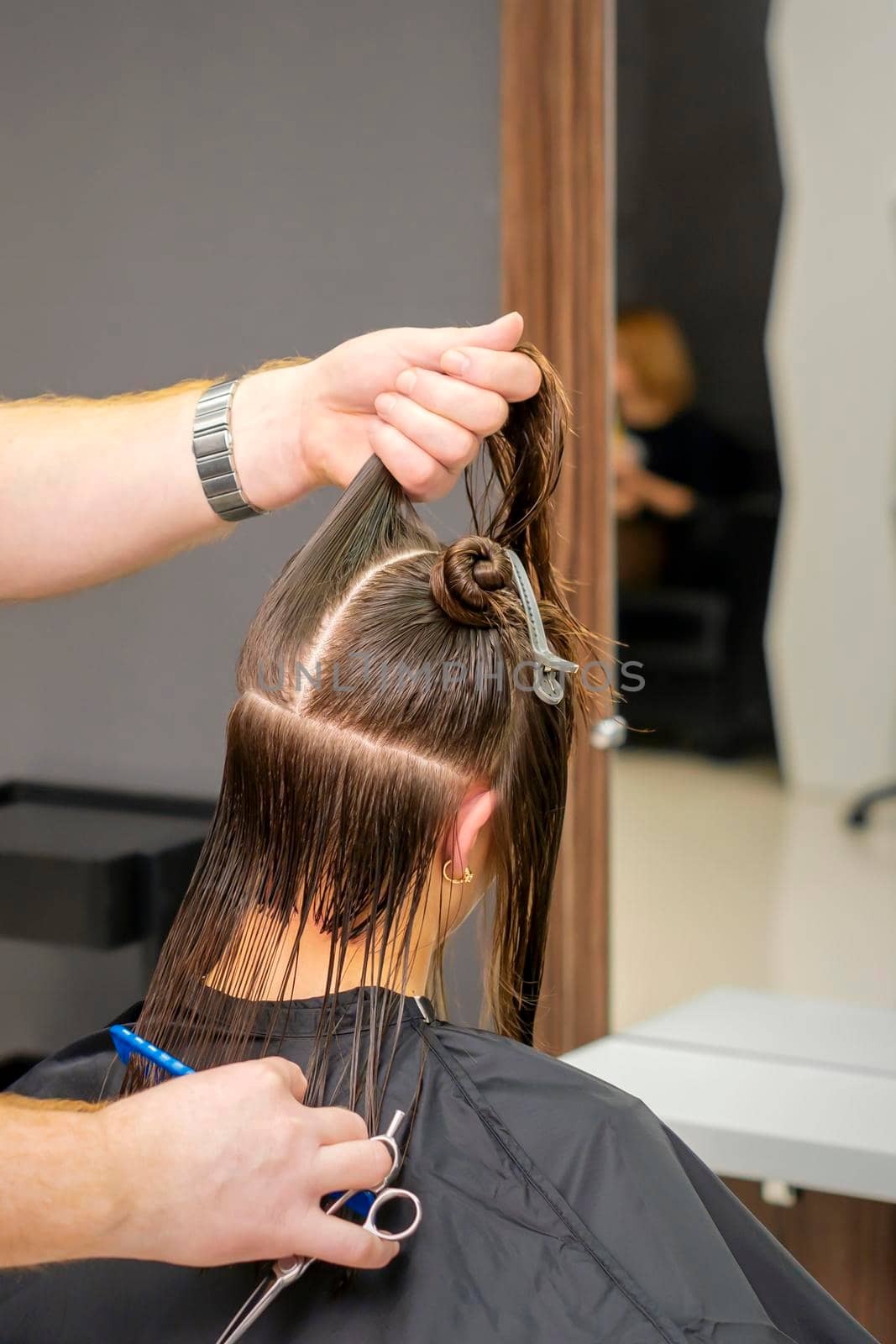 Male hairdresser holds and splits long hair of a young brunette woman in a hair salon