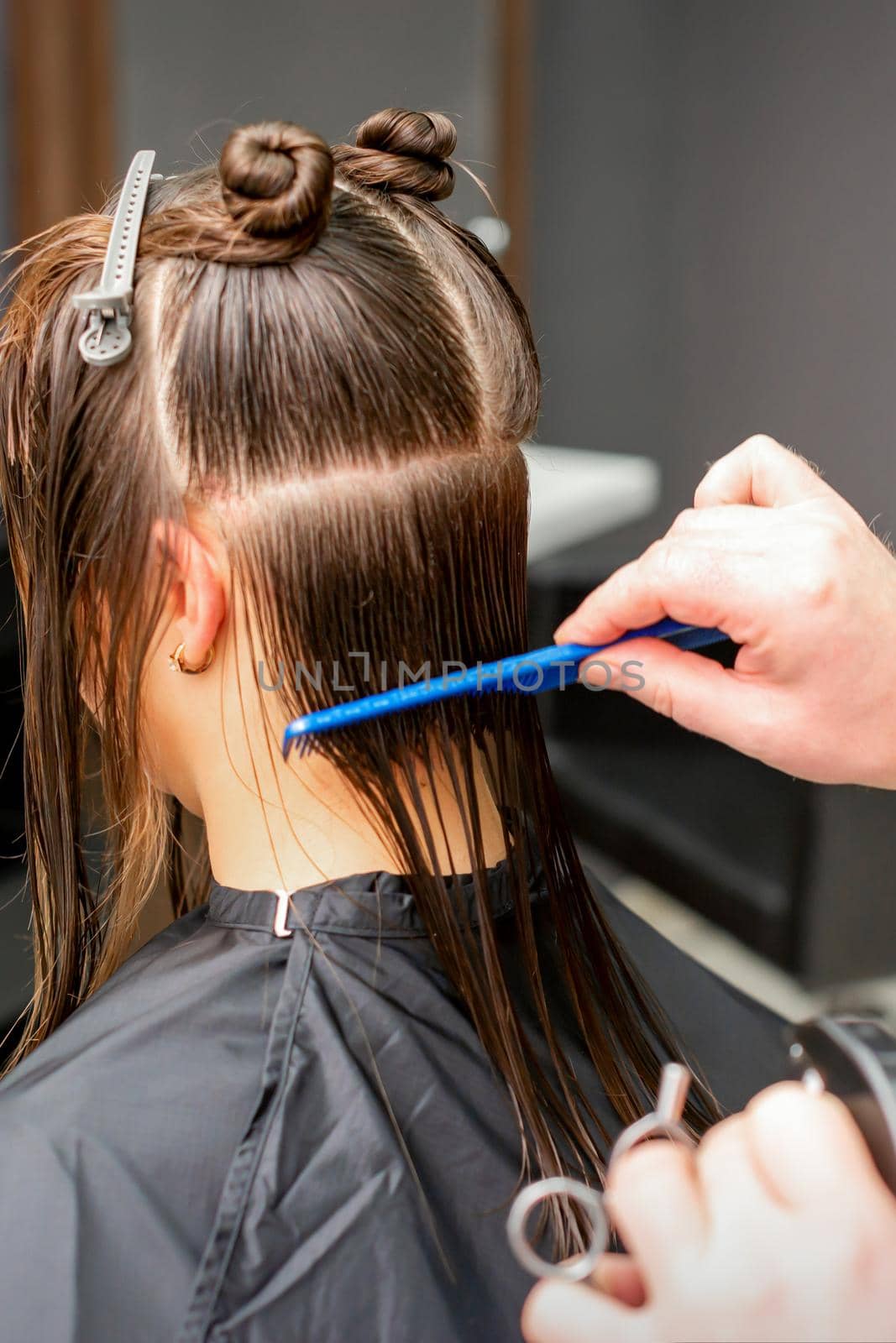 Rear View of male hairdresser combing wet hair of young caucasian woman divides into sections in a hair salon