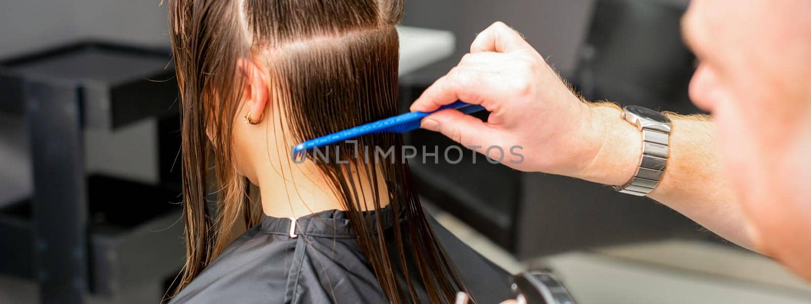 Rear View of male hairdresser combing wet hair of young caucasian woman divides into sections in a hair salon