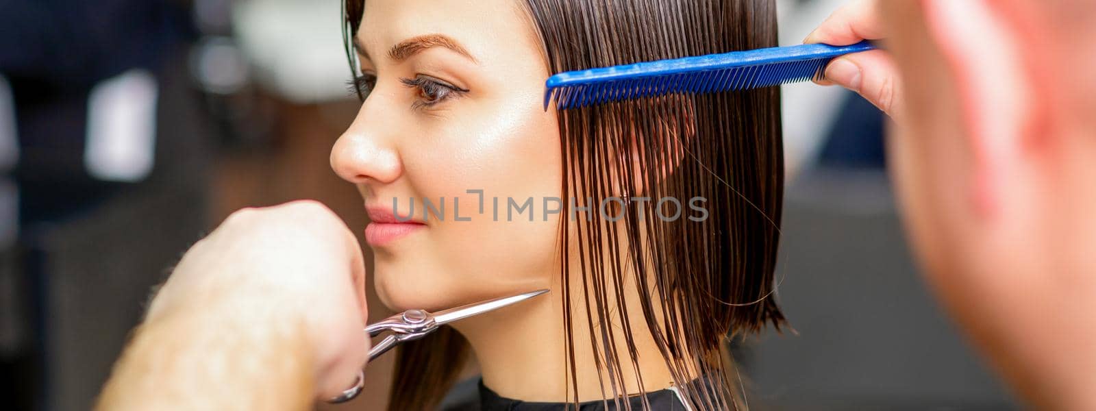 Male hairdresser cuts wet hair of young caucasian woman combing with a comb in a hair salon