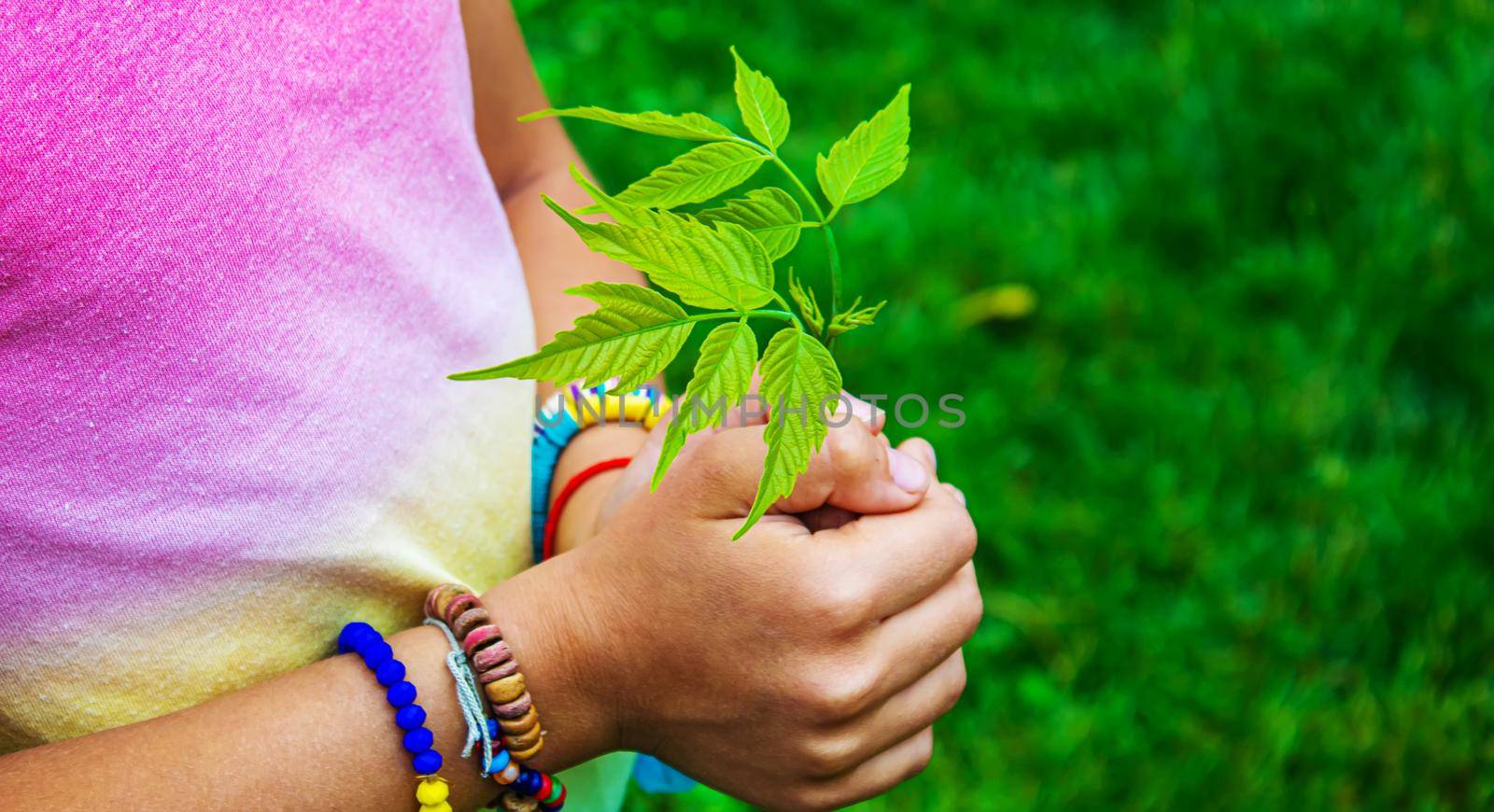 Children take care of nature tree in their hands. Selective focus. nature