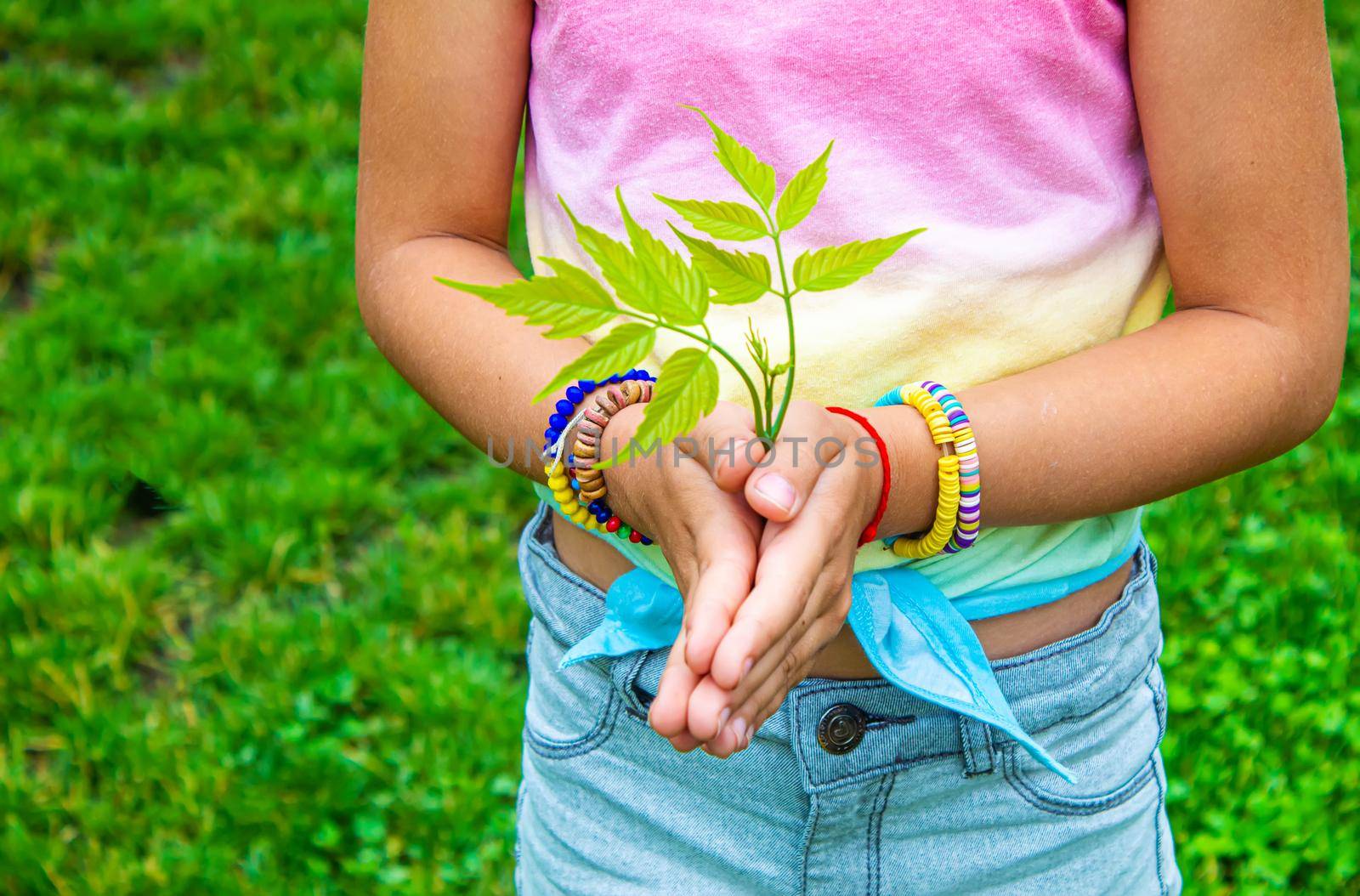 Children take care of nature tree in their hands. Selective focus. nature