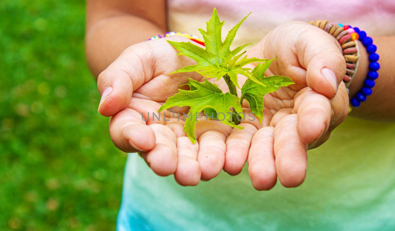 Children take care of nature tree in their hands. Selective focus. nature