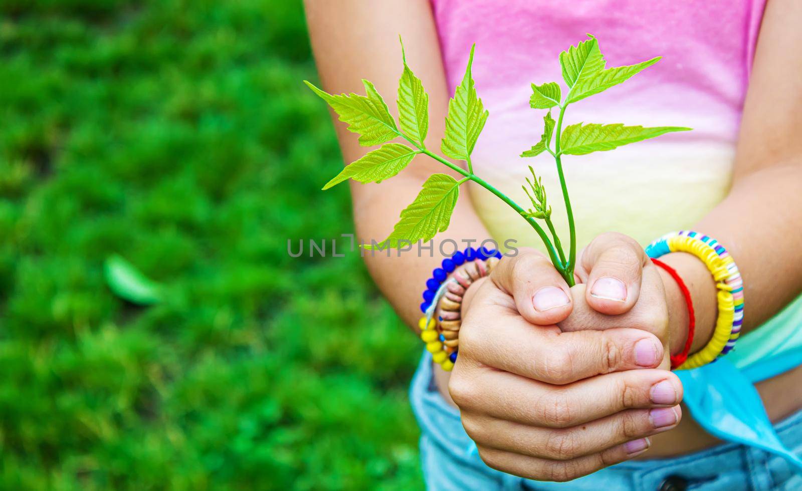 Children take care of nature tree in their hands. Selective focus. nature