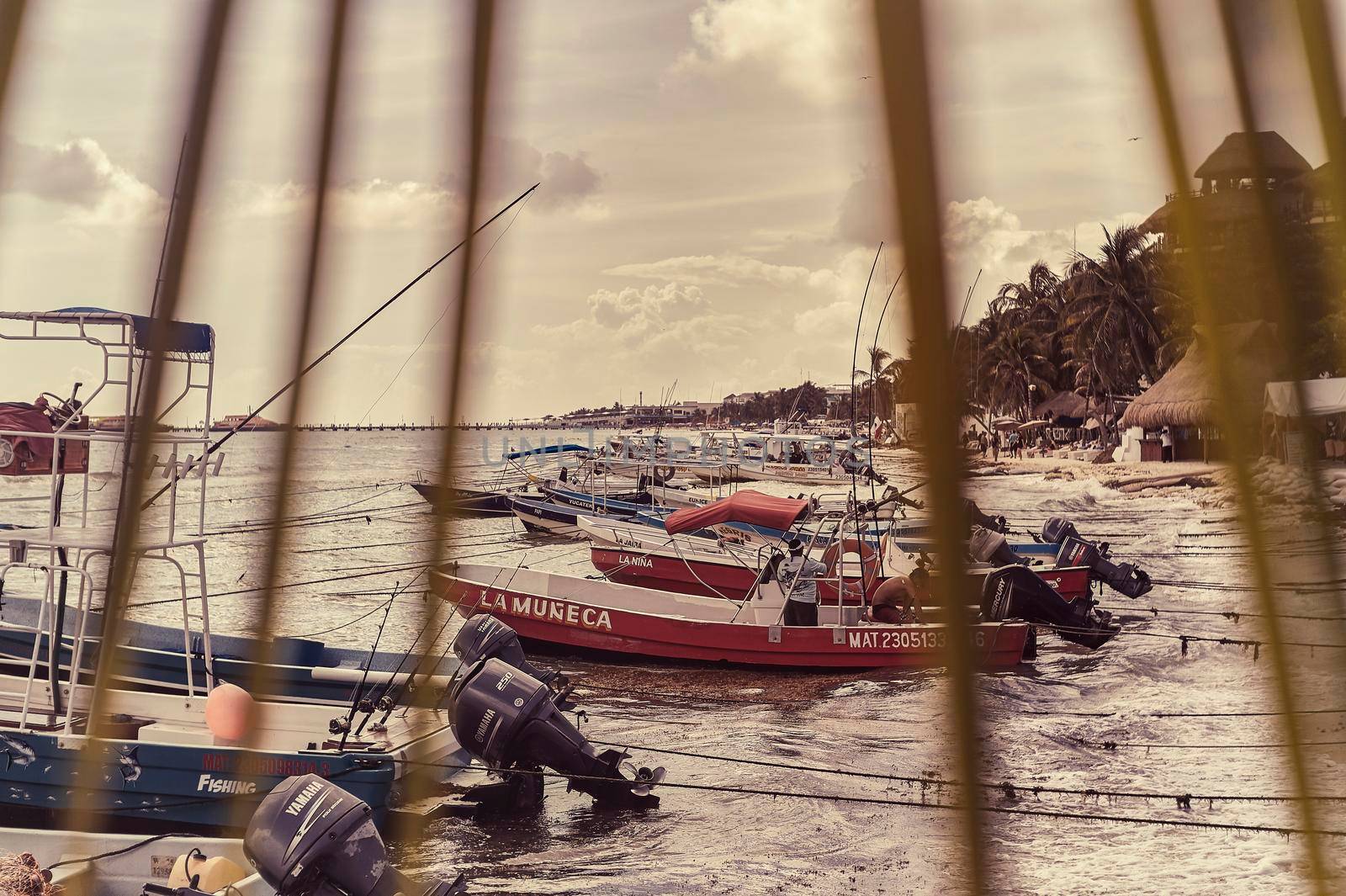 The small fishing boats moored to the beach by pippocarlot