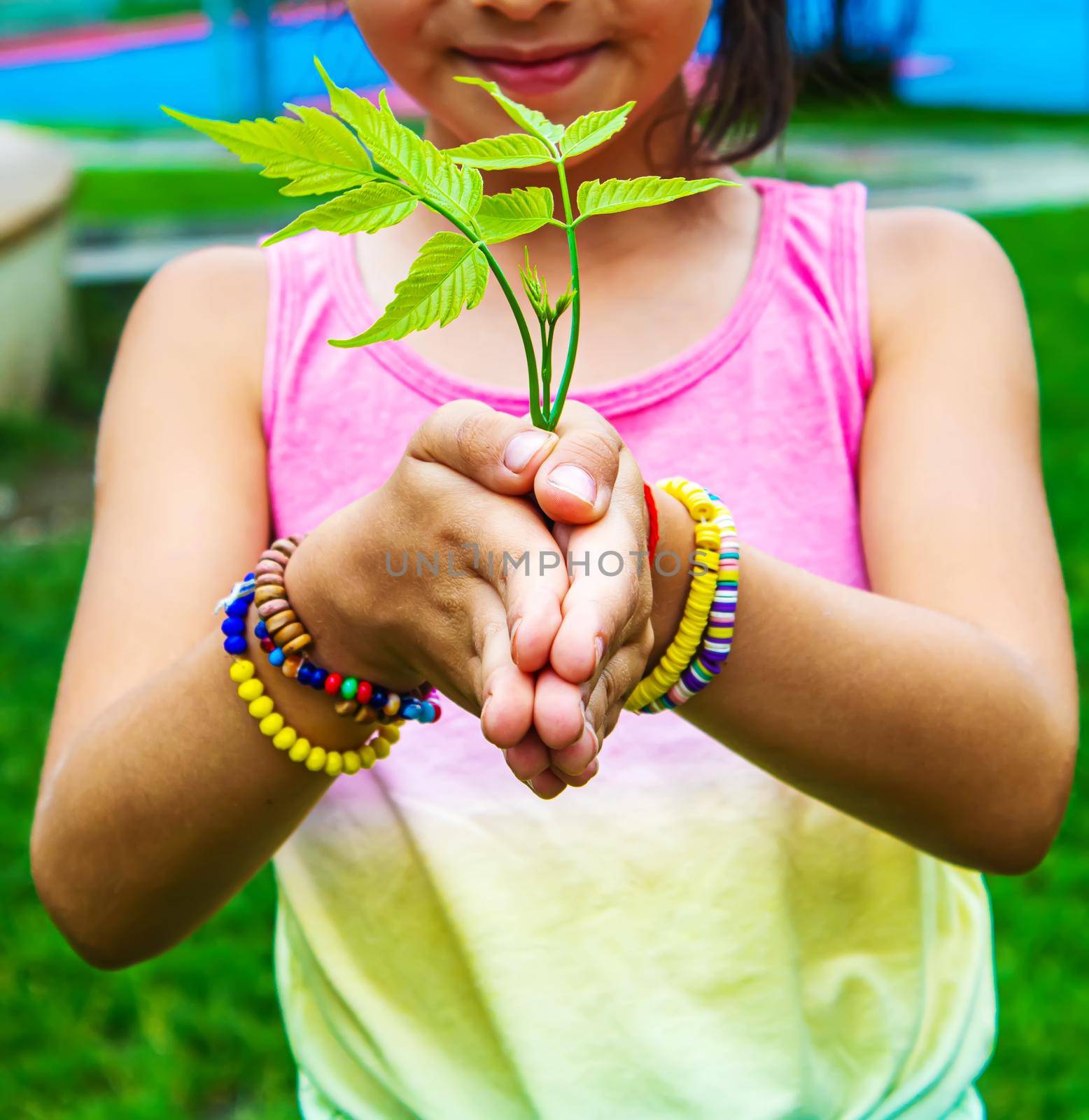 Children take care of nature tree in their hands. Selective focus. nature