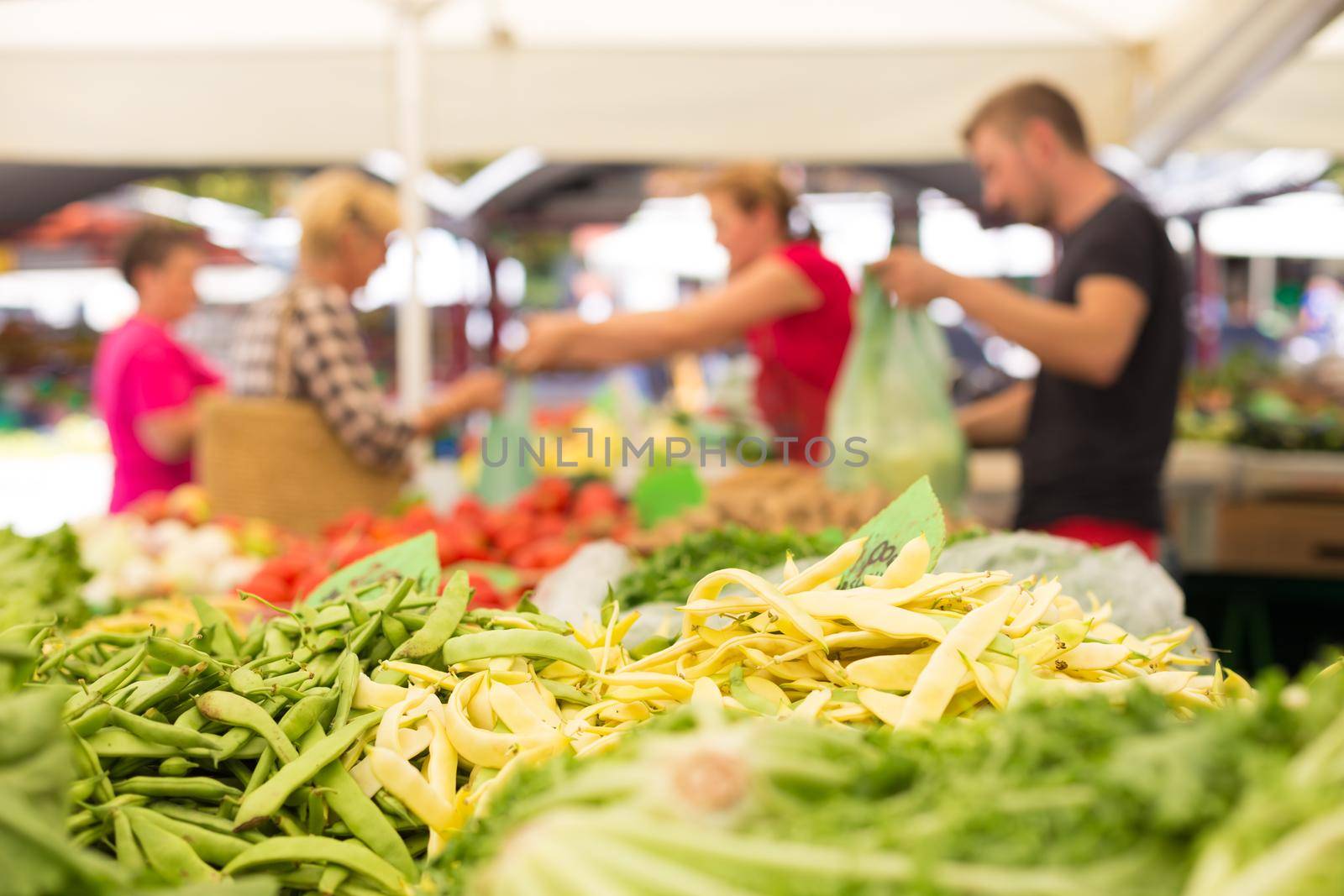 Farmers' food market stall with variety of organic vegetable. Vendor serving and chating with customers.