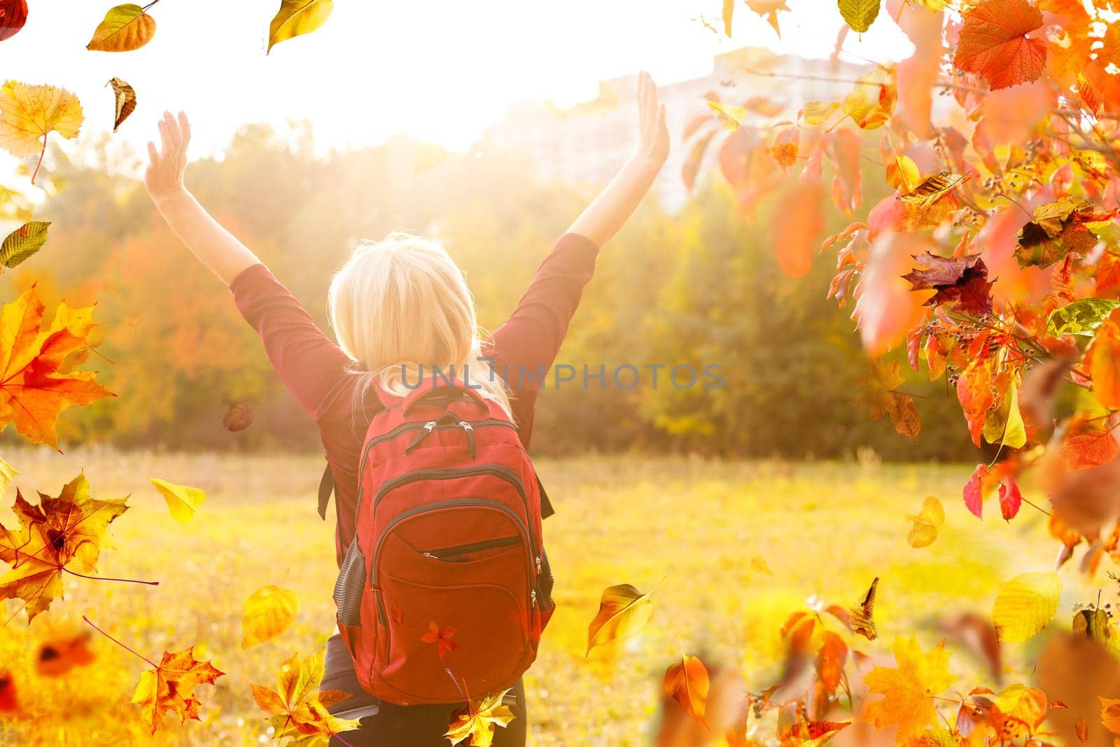 Beautiful girl walking outdoors in autumn. Smiling girl collects yellow leaves in autumn. Young woman enjoying autumn weather. by Andelov13