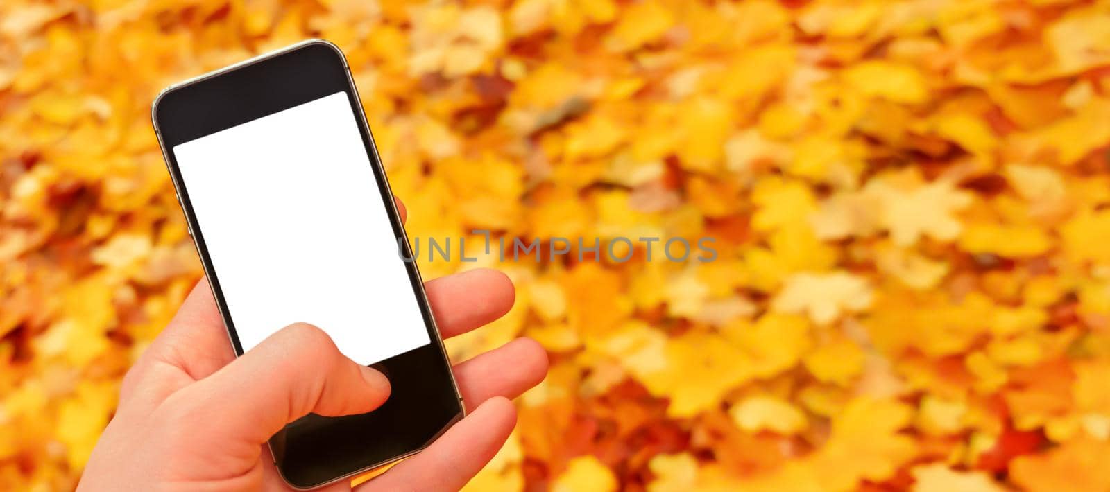 Fallen leaves autumn mobile phone mockup hand holding smartphone nature fall background leaves falling. Blank mobile mockup smartphone blank screen hand phone nature autumn banner. Screen mobile hand