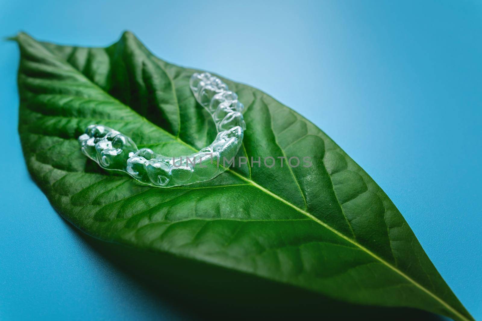 Invisible modern removable braces or aligners for teeth on a blue background with green leaves.