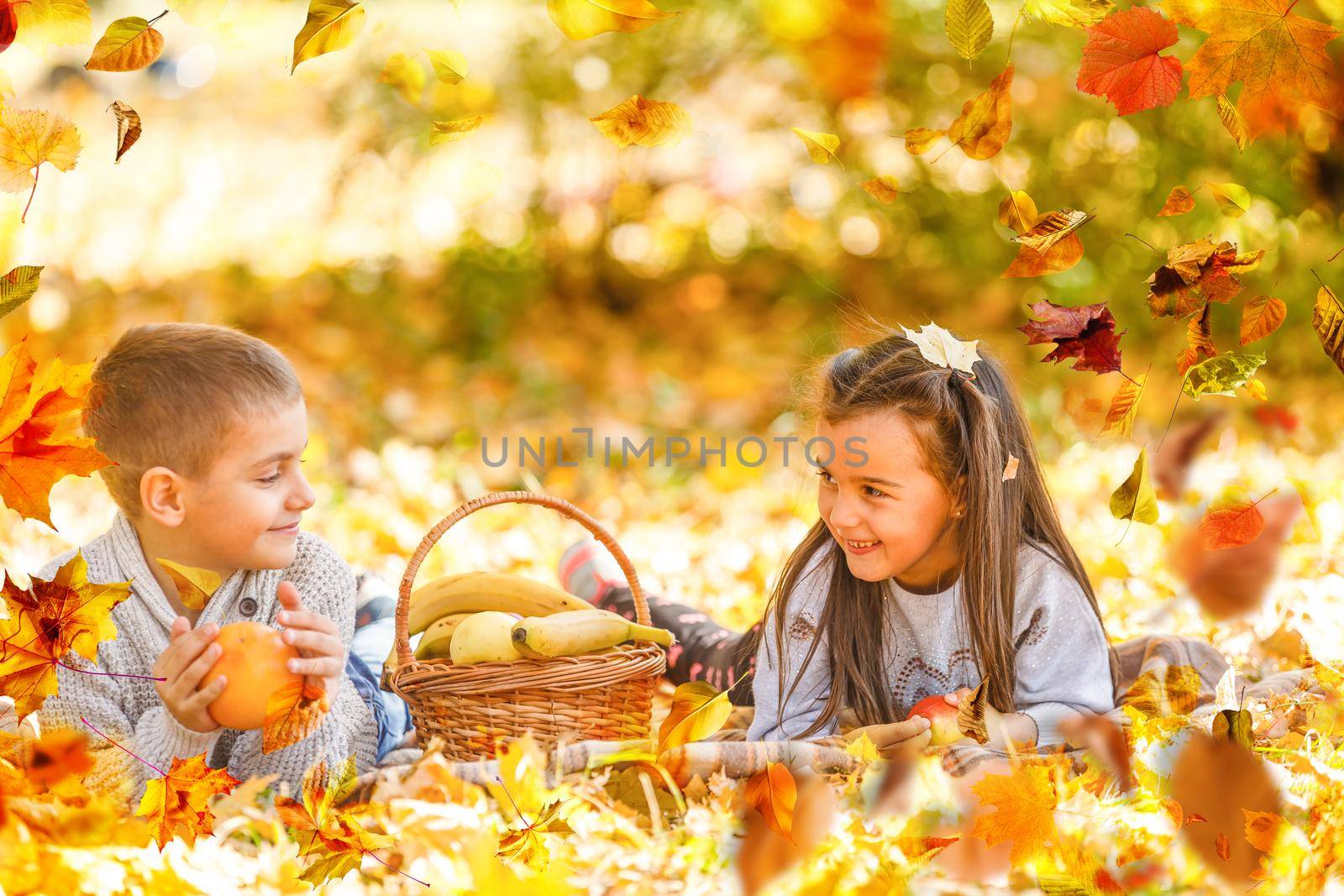 Two little cute smiling kids in bright jackets walking together in a park on a sunny autumn day. Friendship between siblings. Happy family concept . High quality photo