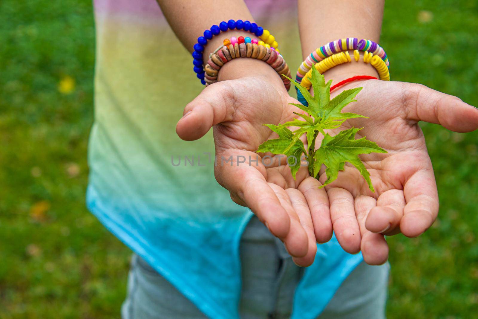 Children take care of nature tree in their hands. Selective focus. nature