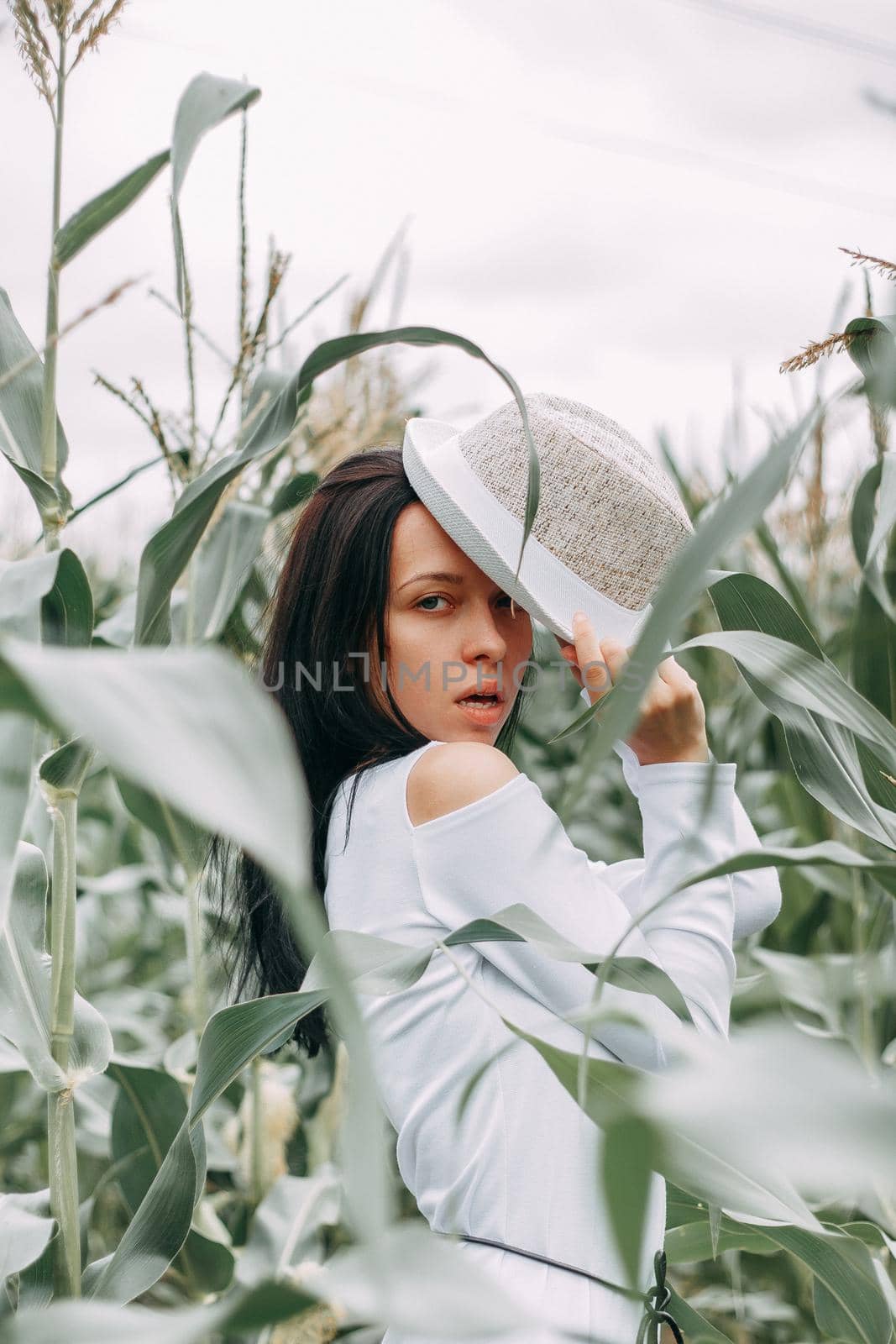 A brunette girl in a white dress in a cornfield. The concept of harvesting.