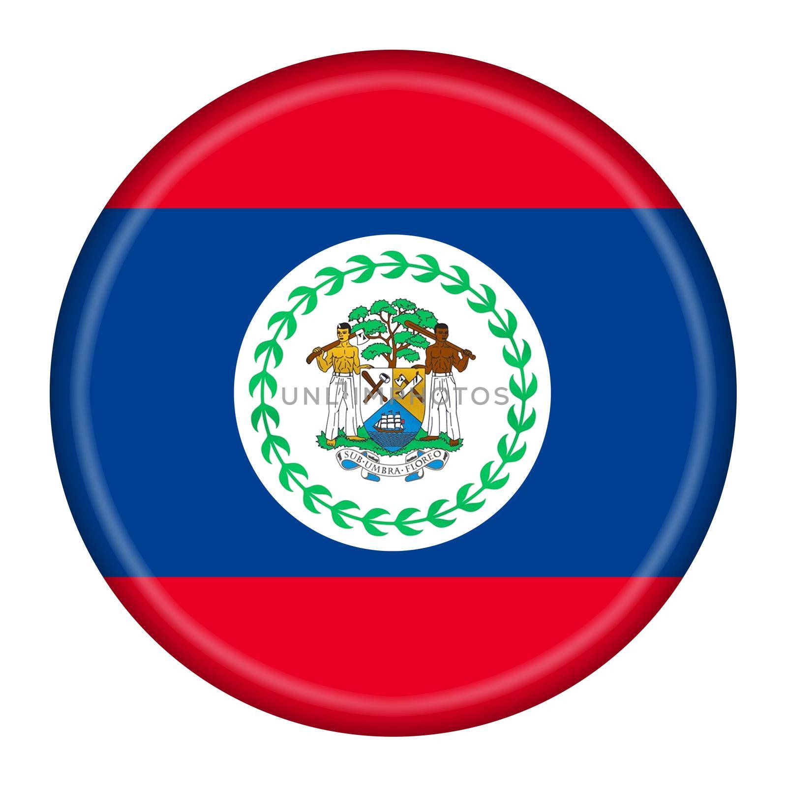A Belize flag button 3d illustration with clipping path