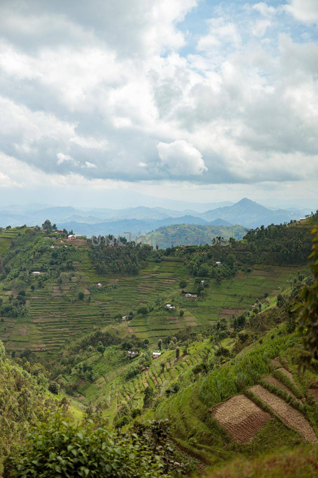 Beautiful landscape in southwestern Uganda, at the National Park, Rwanda by Yaroslav_astakhov