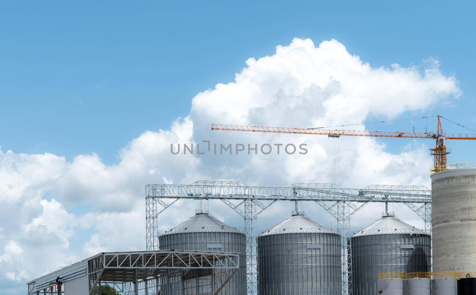 Animal feed factory construction site. Agricultural silo at feed mill factory. Tank for store grain in feed manufacturing. Seed stock tower for commercial animal feed production. Animal food industry.