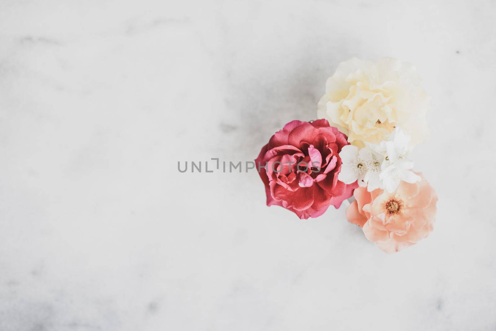 Vintage roses on marble by Anneleven