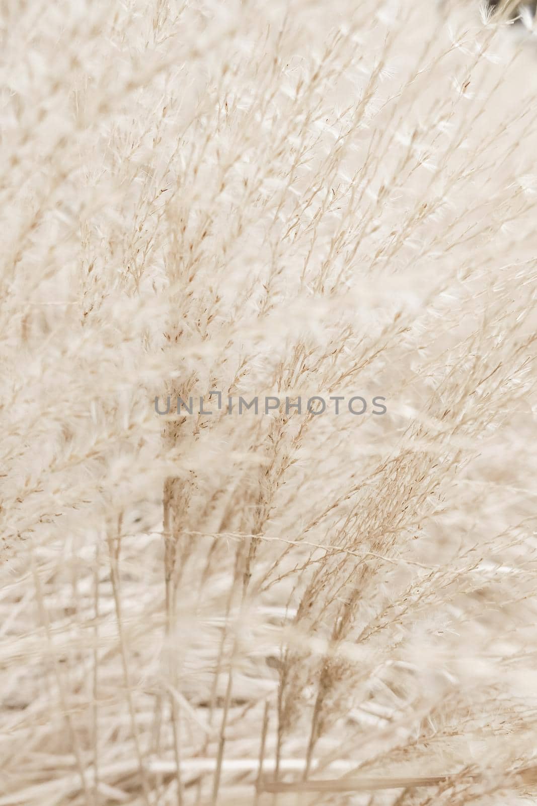 Rustic autumn field by Anneleven