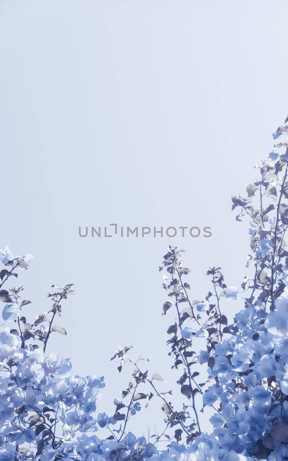 Blue floral composition by Anneleven