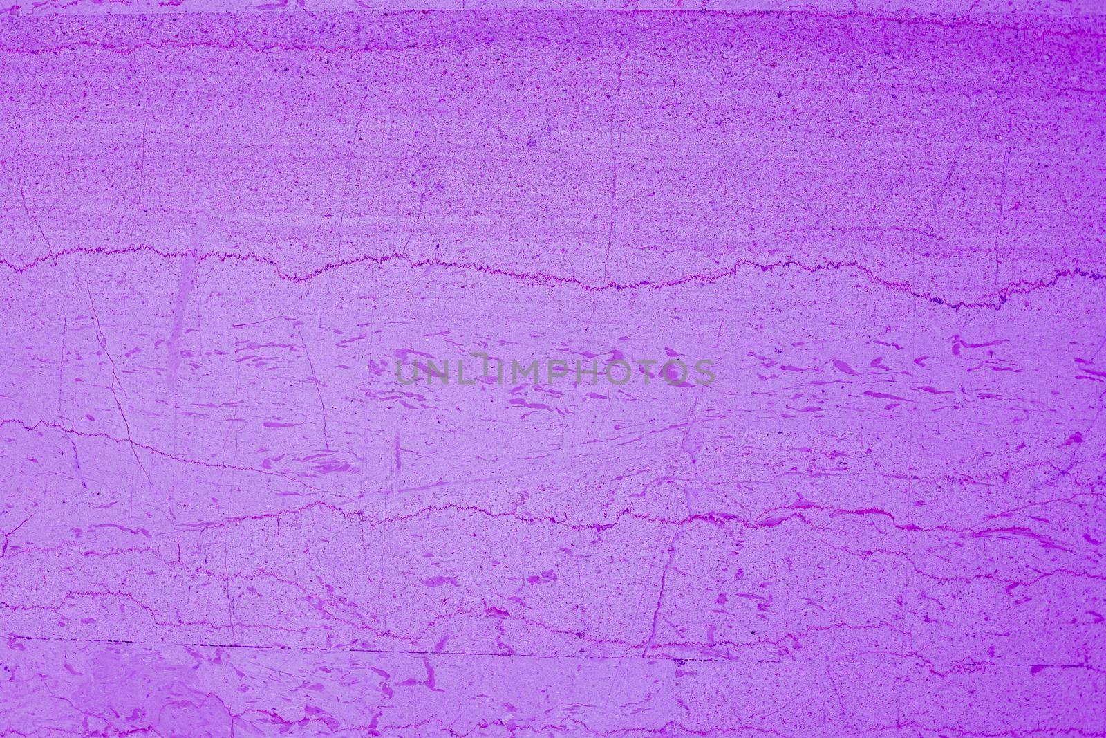 Proton purple Grunge wall cement texture, plaster background