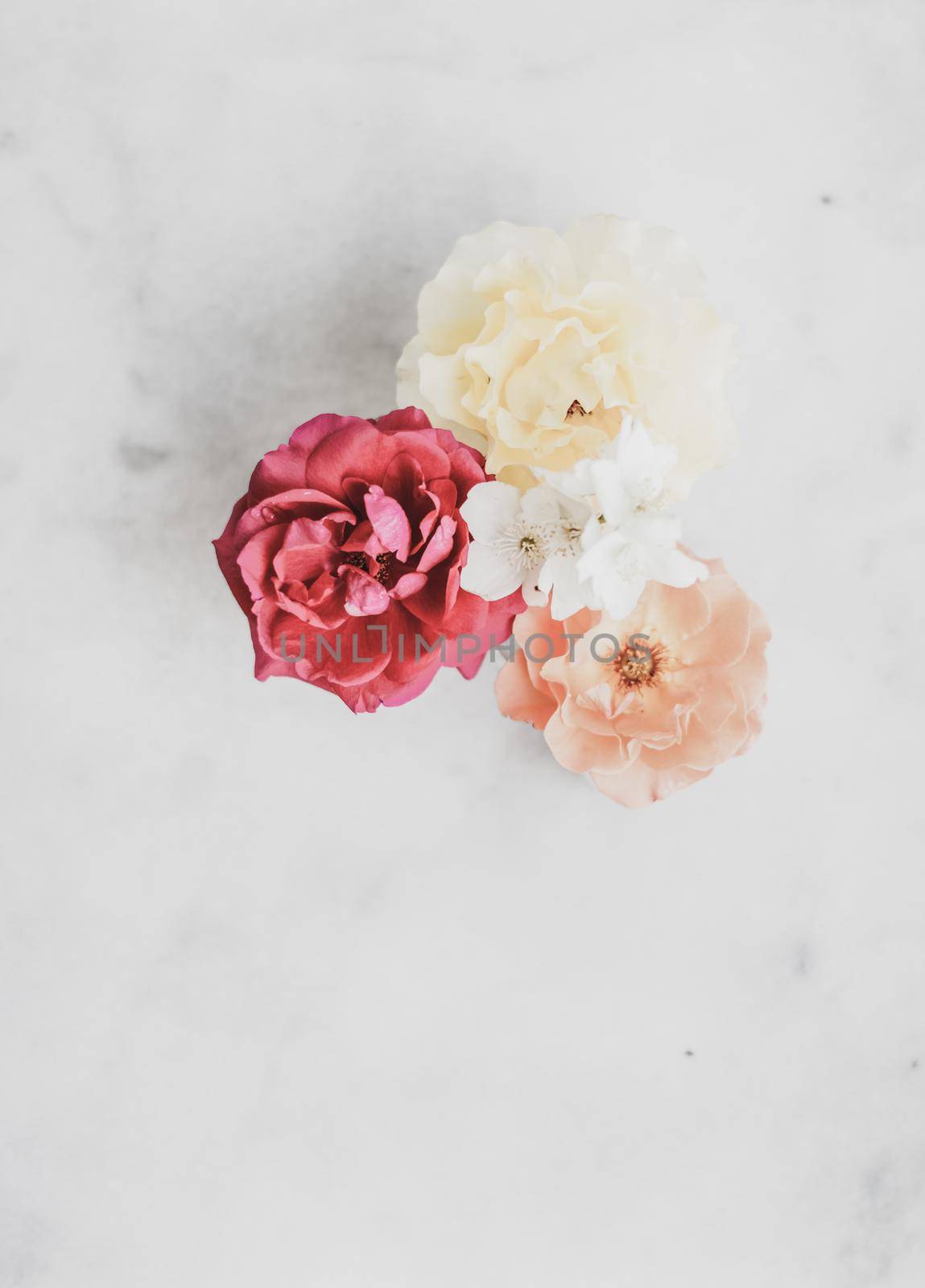 Vintage roses on marble by Anneleven