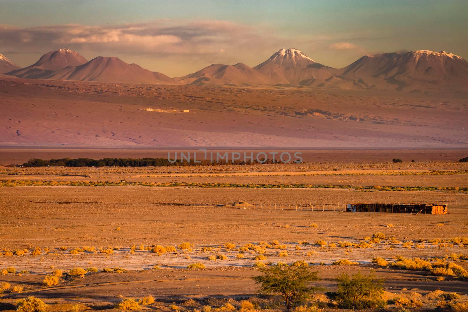 Atacama desert, volcanic arid landscape in Northern Chile, border with Bolivia, South America