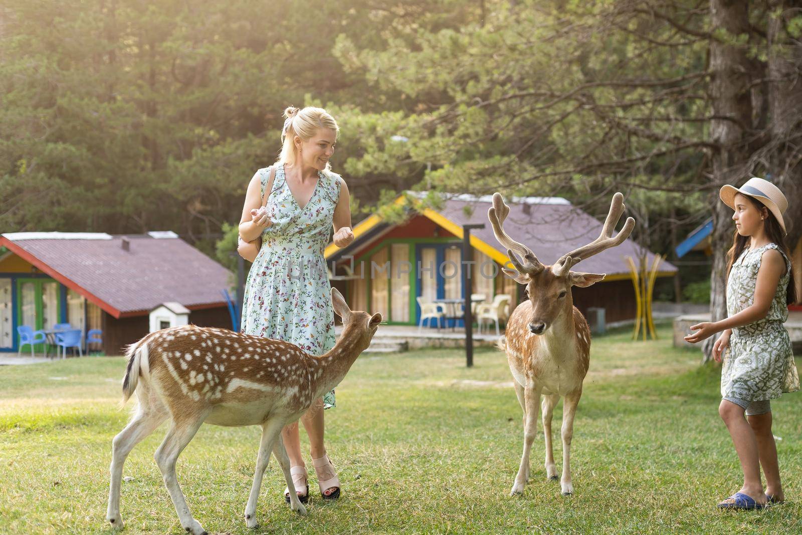 adorable toddler feeds deer on farm. Beautiful baby child petting animals in the zoo. Excited and happy girl on family weekend by Andelov13