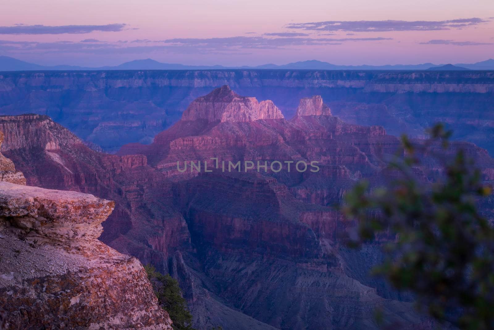 Grand Canyon north rim silhouette at golden sunset, Arizona, United States