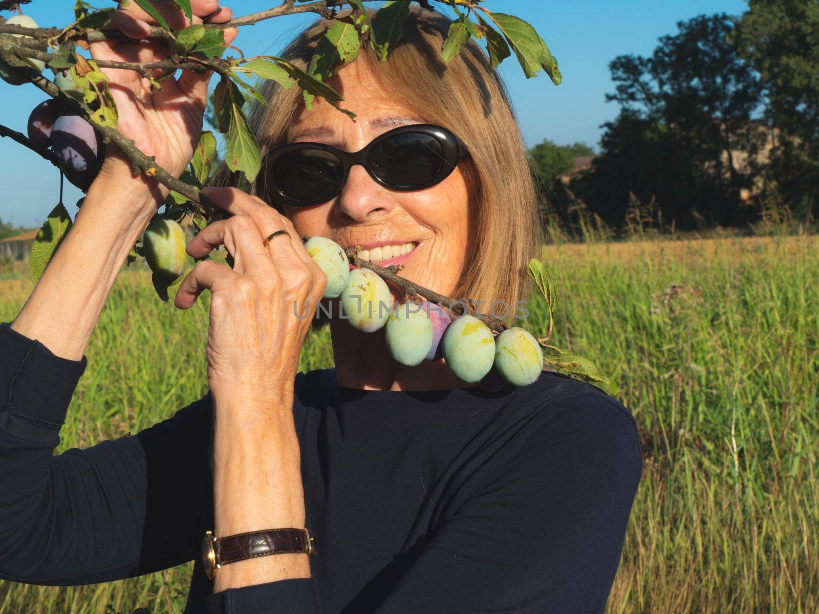 elegant lady picking plums and peaches in a farm during summer