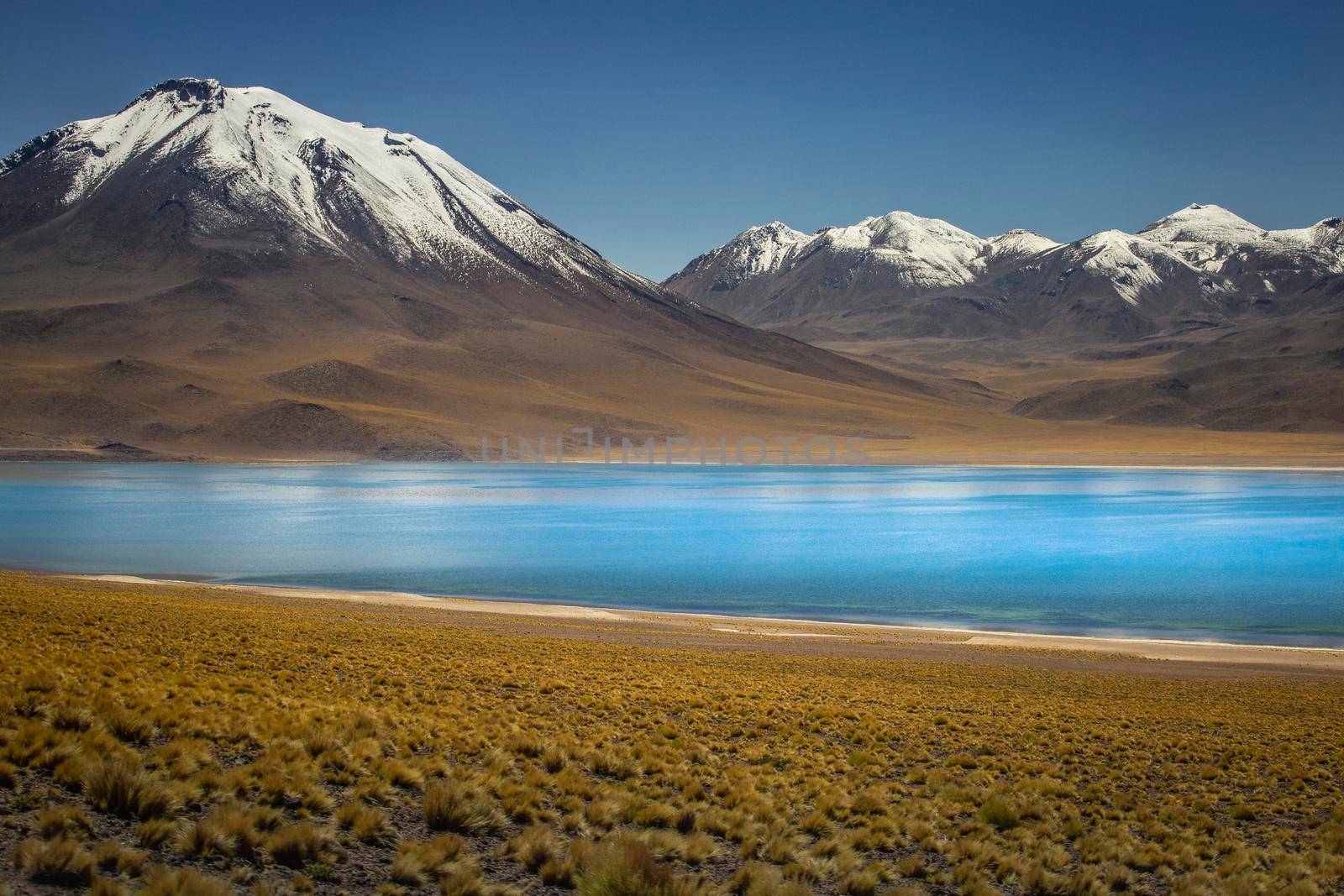 Turquoise laguna Miscanti, salt lake in Atacama desert, volcanic landscape, Chile, South America