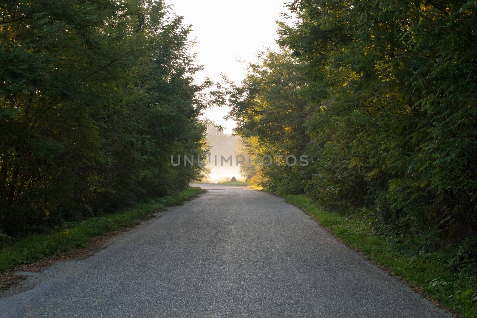 The road, which at the bend is illuminated by sunlight. It represented inspiration, God's apparitions, enlightenment