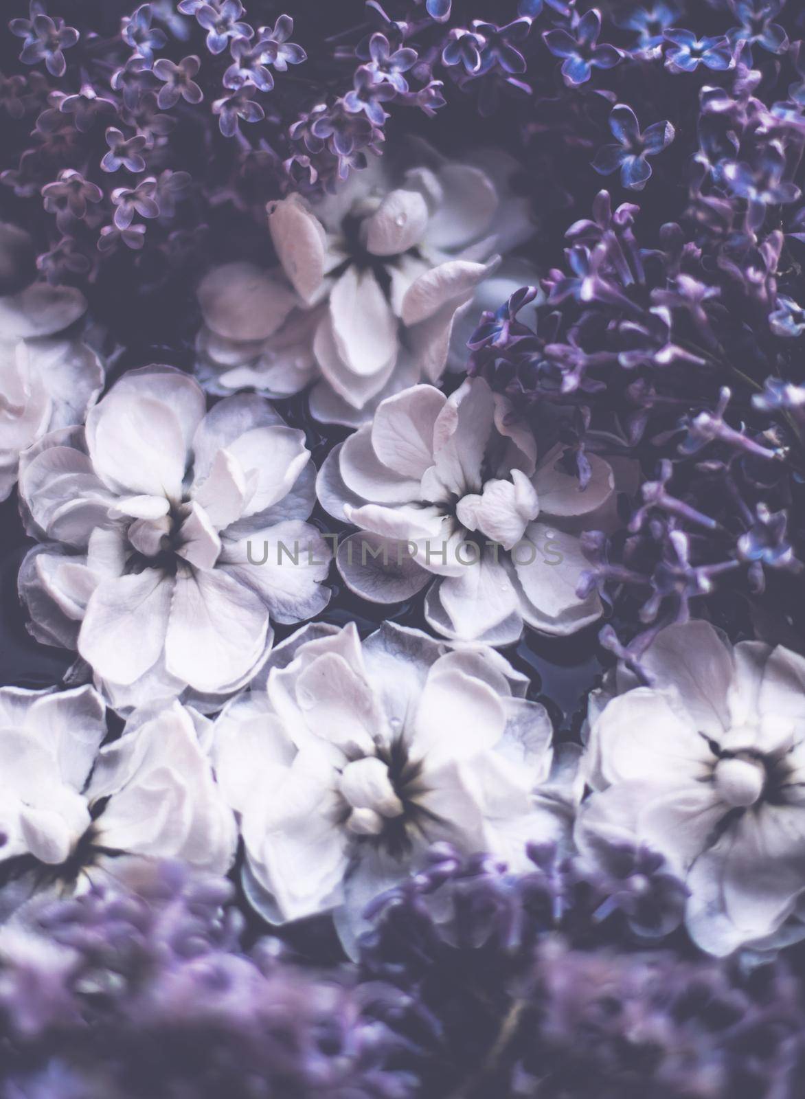 Vintage floral background by Anneleven