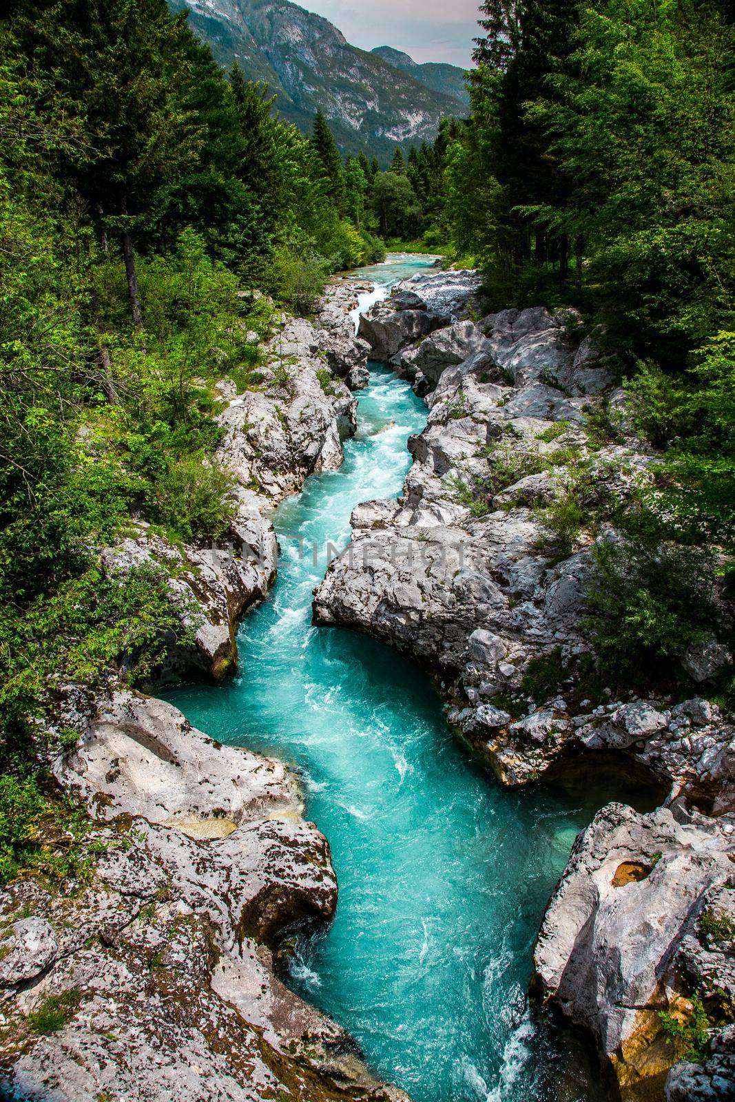 Emerald Soca River in Soca Valley, Slovenia, Europe. by kasto