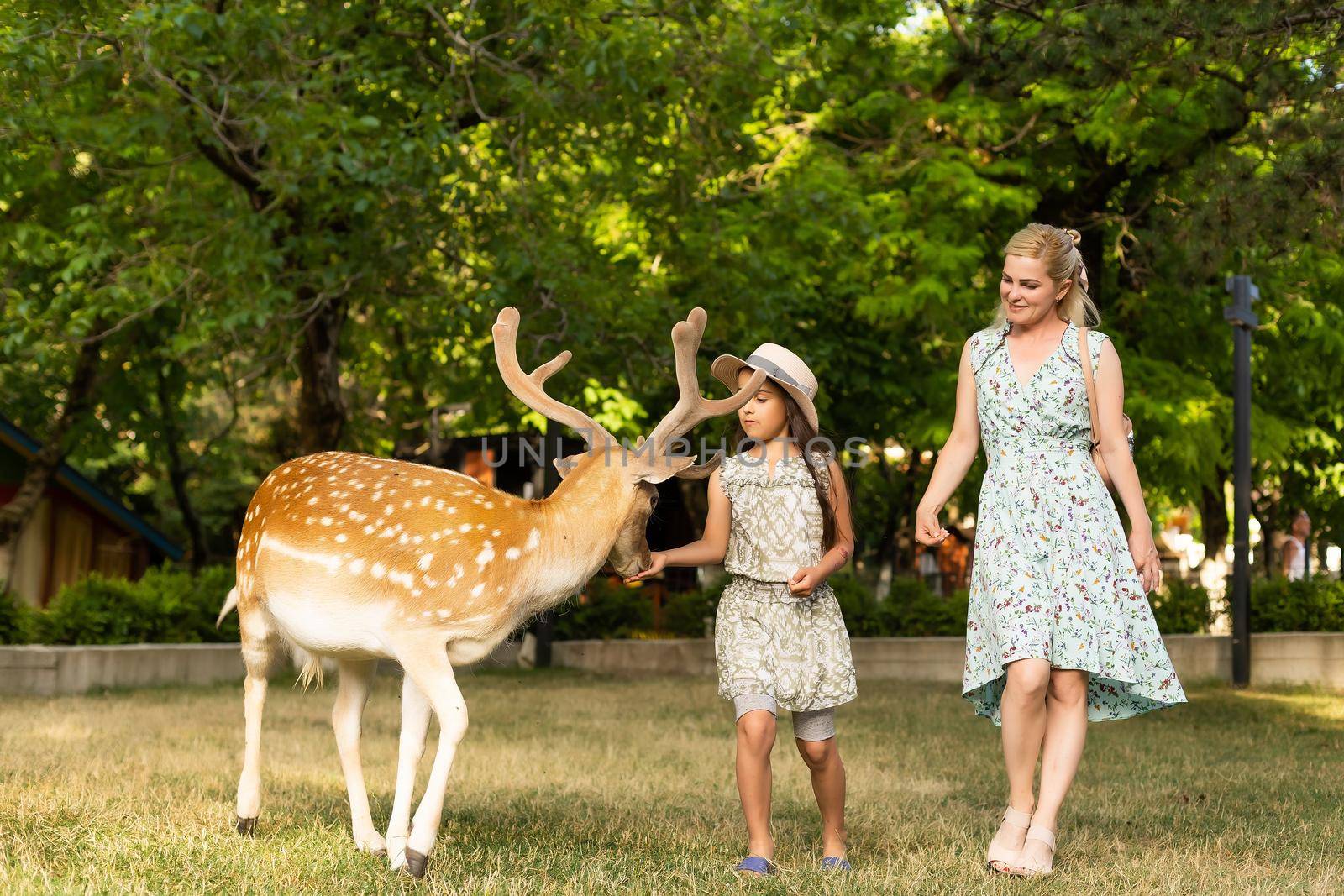 adorable toddler feeds deer on farm. Beautiful baby child petting animals in the zoo. Excited and happy girl on family weekend.