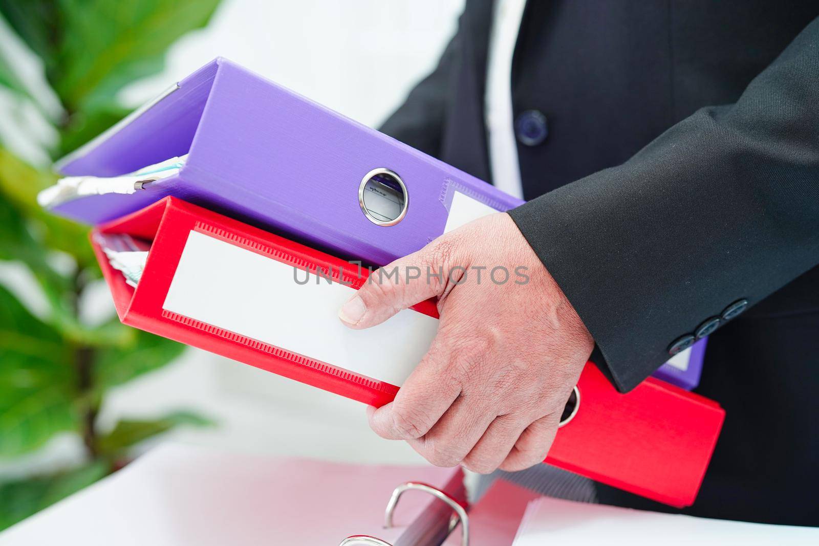Business woman busy working with documents in office.