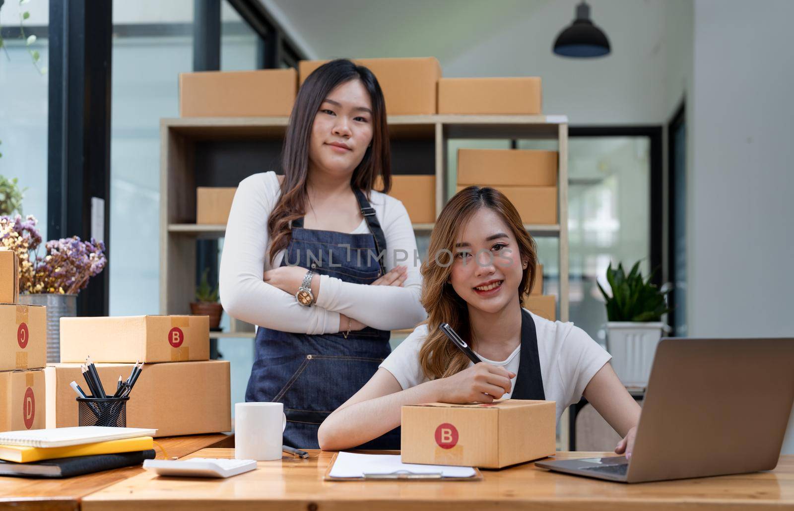 startup small business owner working at workplace. freelance women seller check product order for delivery. Online selling, e-commerce, shipping concept by nateemee