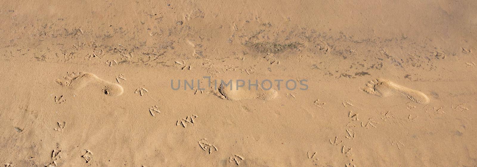 A chain of relief footprints, a trail of footprints of one person. The image of a lonely path in the sand.