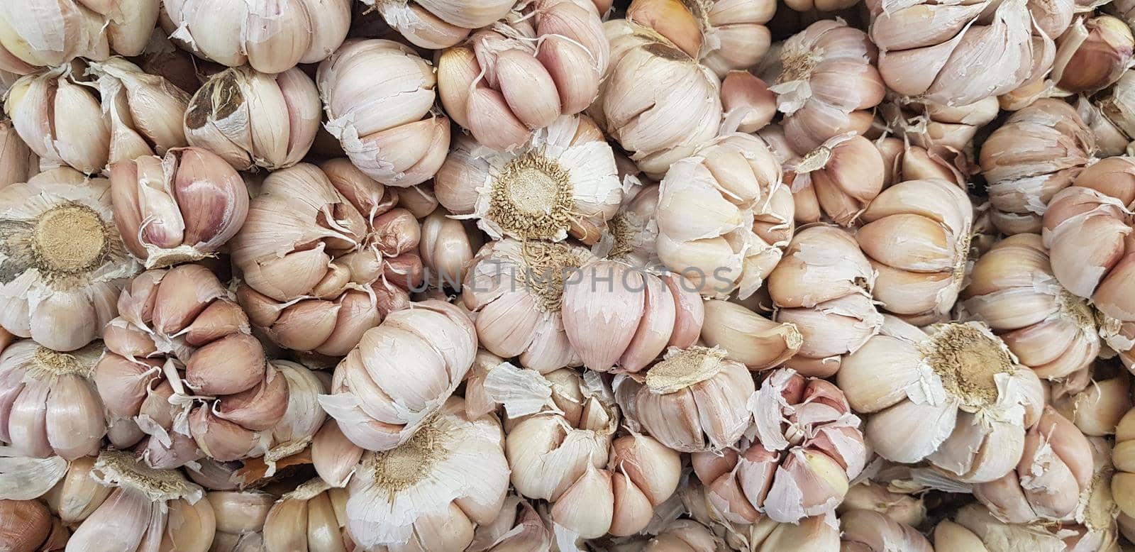 Garlic bulbs on black background, close-up. Organic garlic top view. Food background. Selective focus.