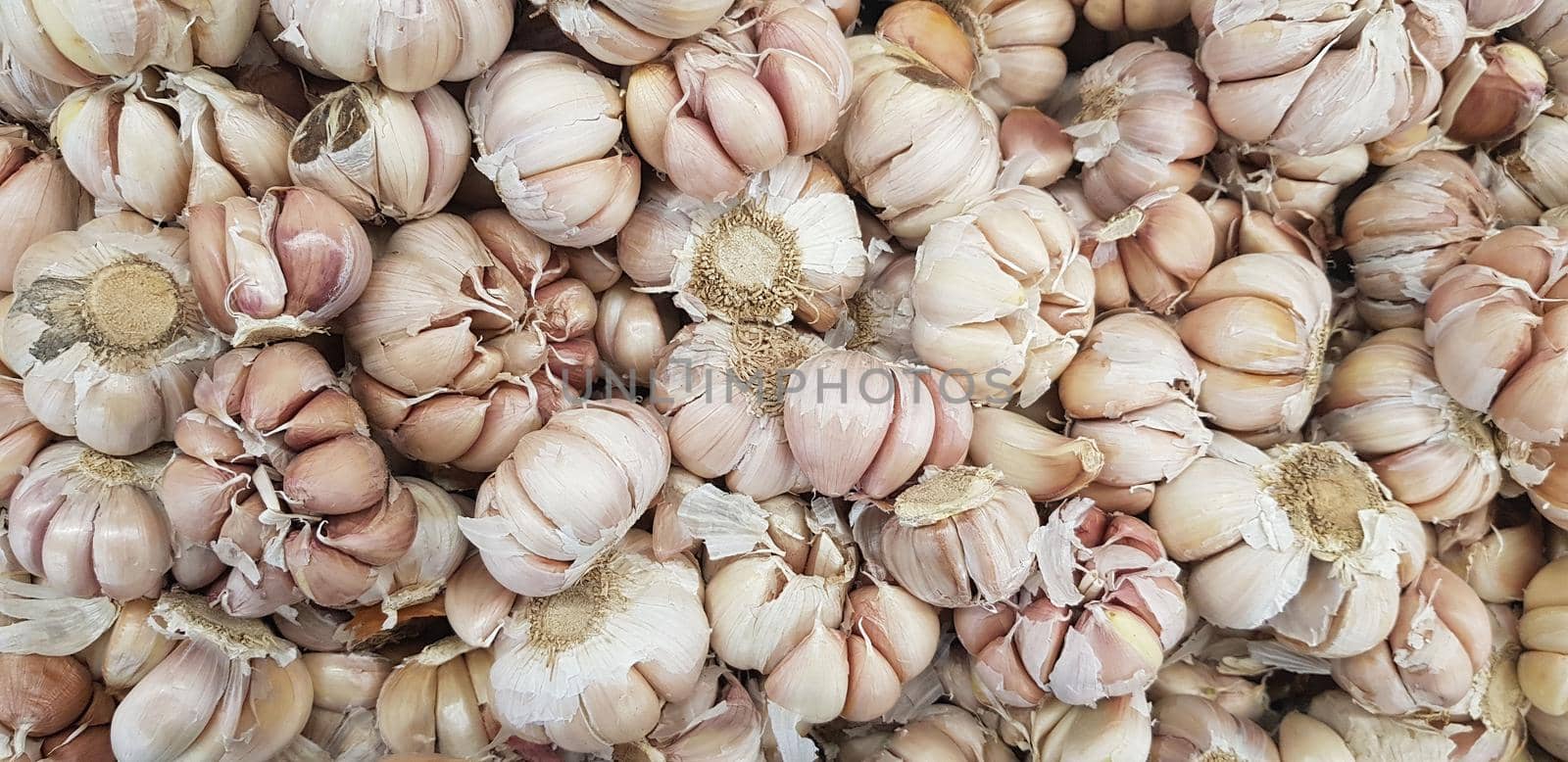 Garlic bulbs on black background, close-up. Organic garlic top view. Food background. Selective focus.