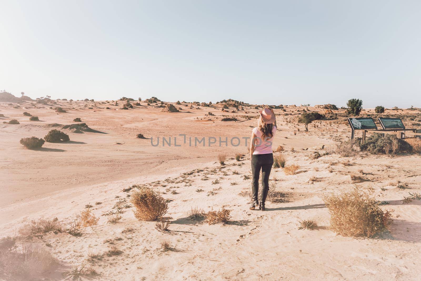 Looking out over the desert landscape by lovleah