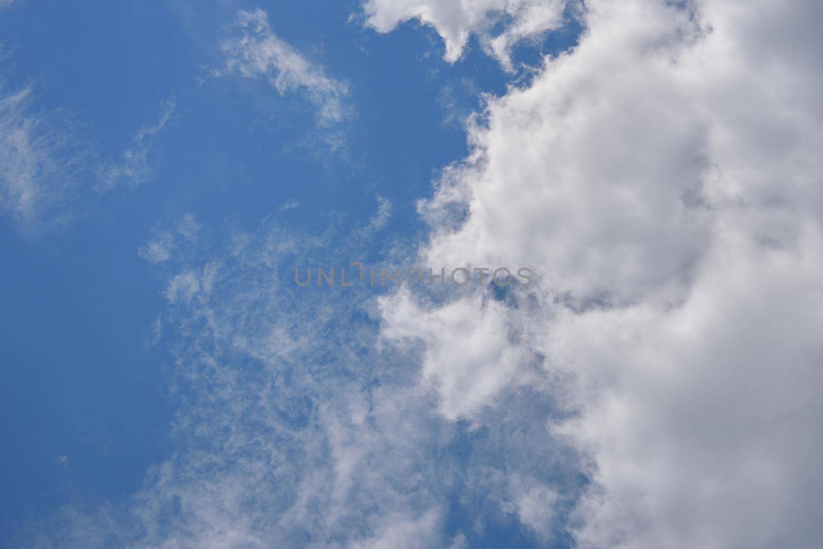 The bright blue sky with white clouds.