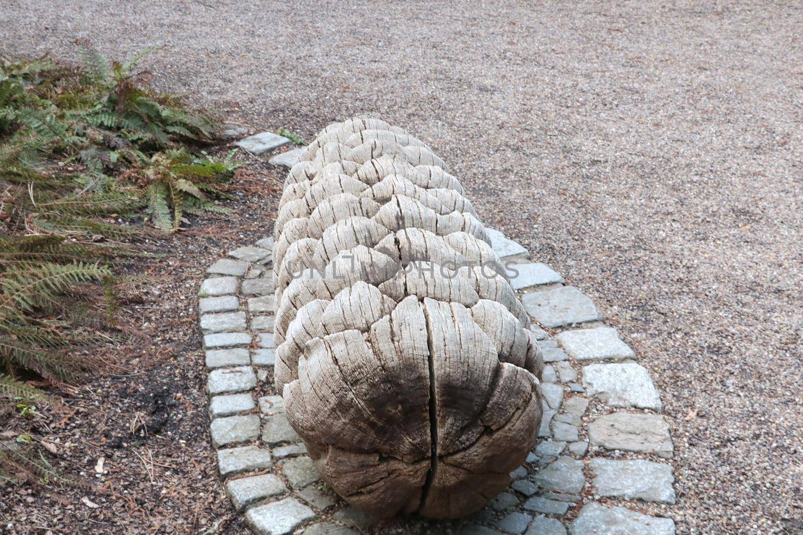 Beautiful big wooden cone on the ground. Bench to sit. by kip02kas