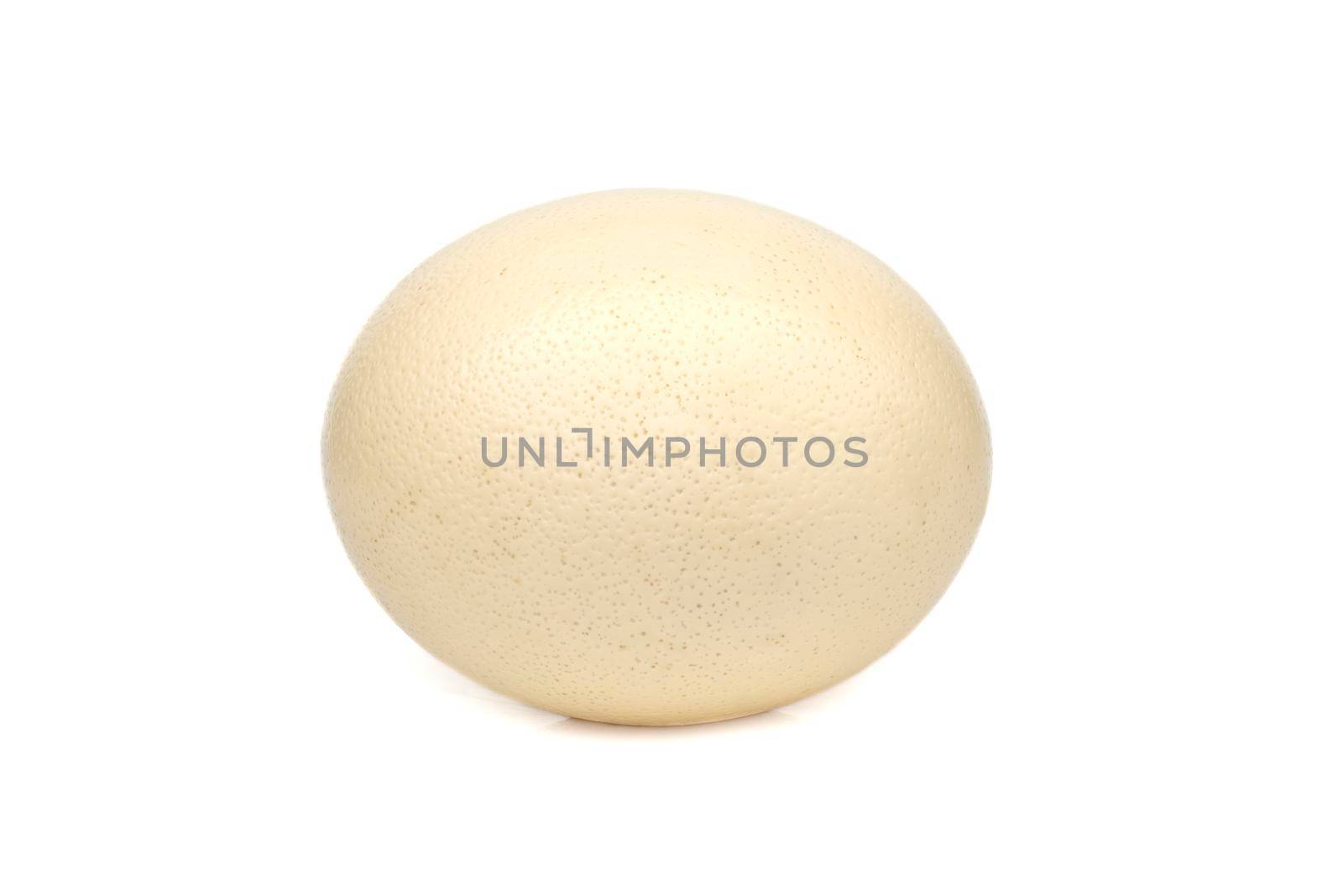 Image of ostrich egg isolated on white background. by yod67