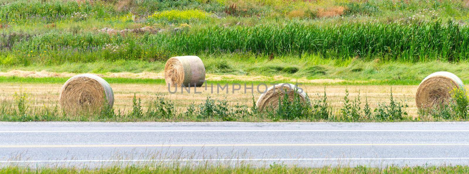 Dry yellow straw bales laying on the farm field at the road by Imagenet