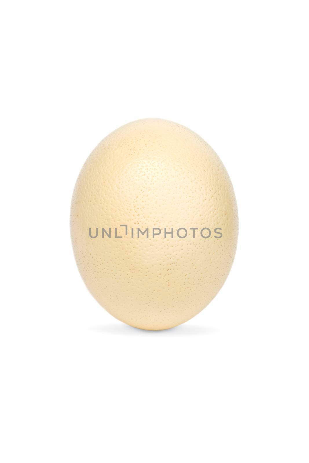 Image of ostrich egg isolated on white background.