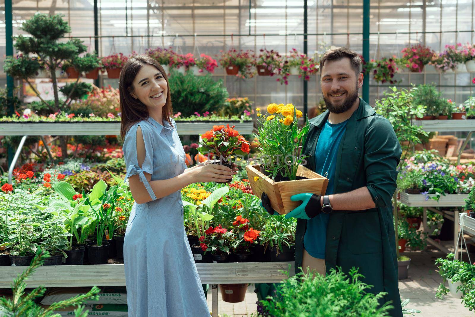 Garden centre worker selling potted plant to female customer
