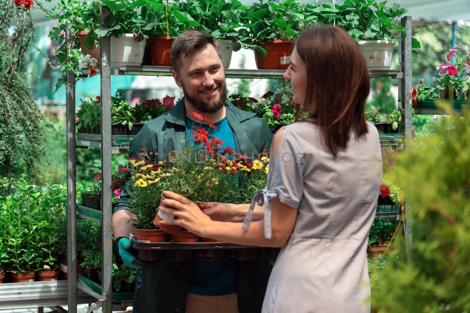 Garden centre worker selling potted plant to female customer